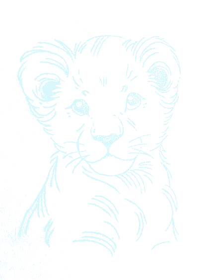 flash background